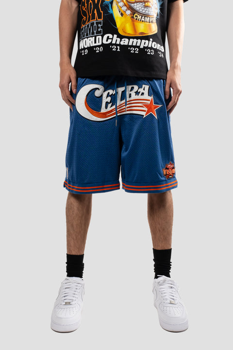 BLUE SWOOSH BASKETBALL SHORTS