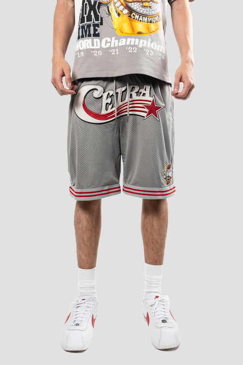 GREY SWOOSH BASKETBALL SHORTS
